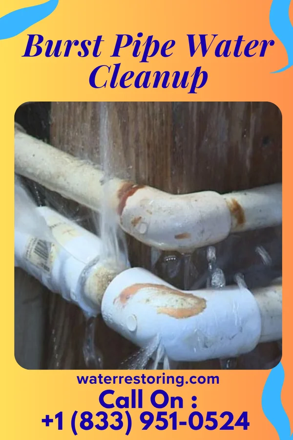 Burst Pipe Water Cleanup in Auburn, WV