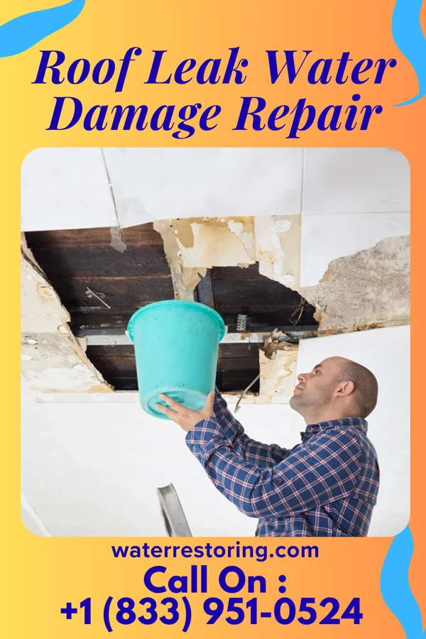 Roof Leak Water Damage Repair in Auburn, WV