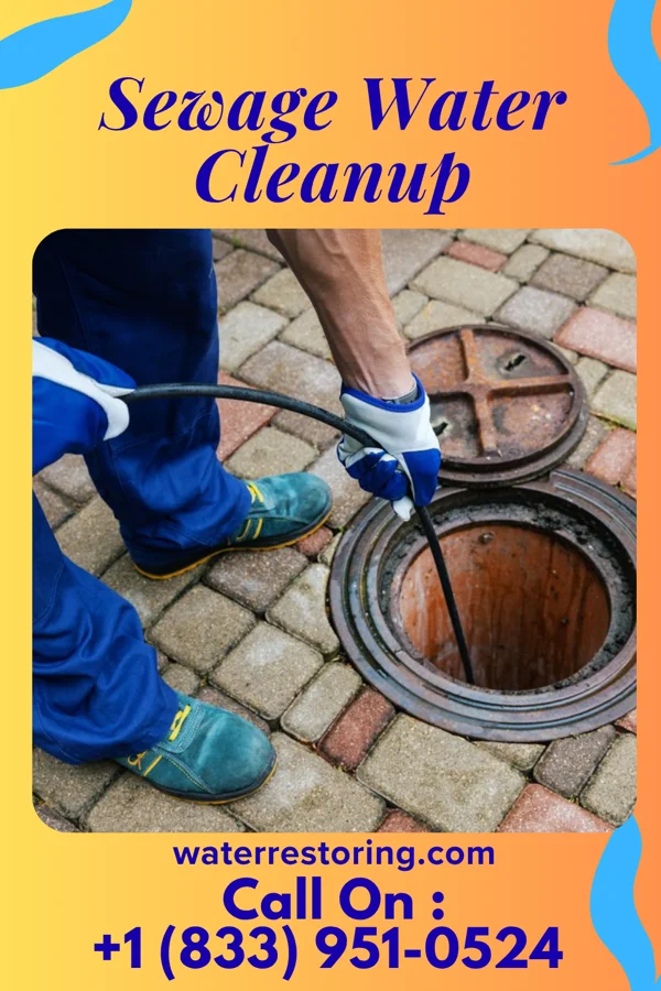 Sewage Water Cleanup in Auburn, WV