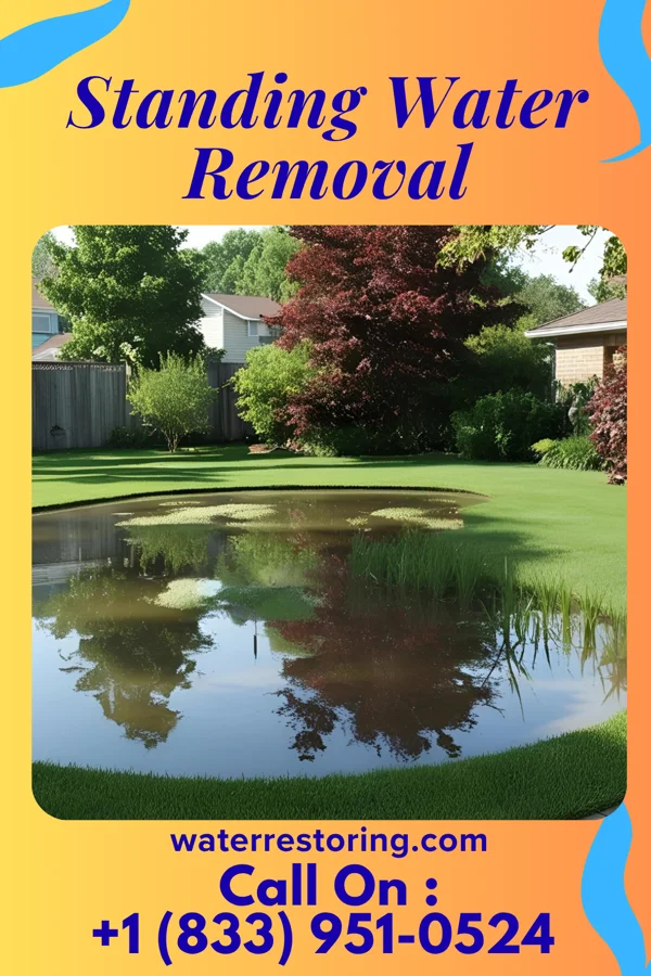 Standing Water Removal in Auburn, WV